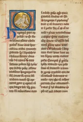 Ein Wiedehopf